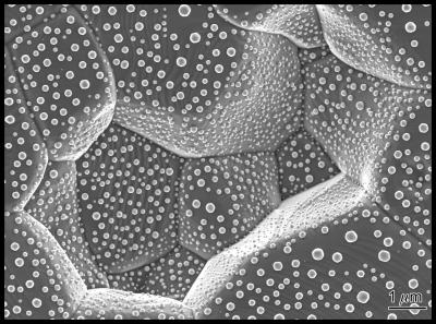 A Closer Look at Grain Boundaries (2 of 3)