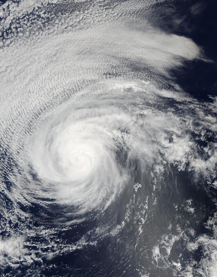 Aqua Image of Andres