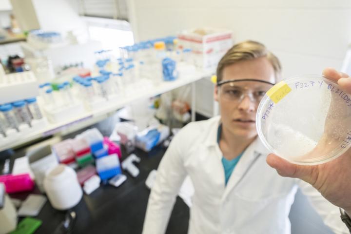 Researchers, University of Kansas