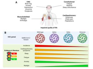 Long COVID Symptom Variability Across SARS-CoV-2 Variants