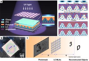 Fabrication principle and 3D display application of the LC microlens array