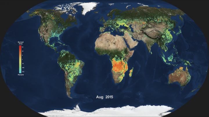 Monthly Average Of Global Burned Area For August 2015