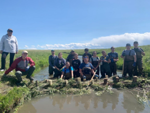 Beaver landscape mimicry project on Blackfeet Nation lands