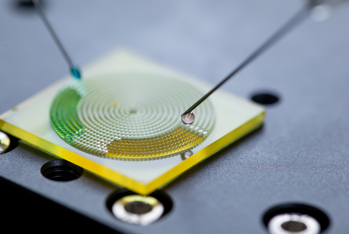 Liquid transport on the Araucaria leaf-inspired surface.