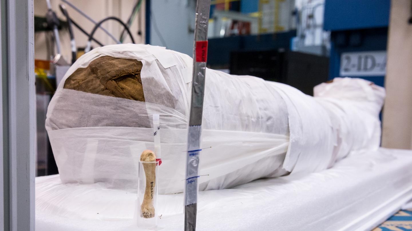 1,900-year-old Egyptian mummy