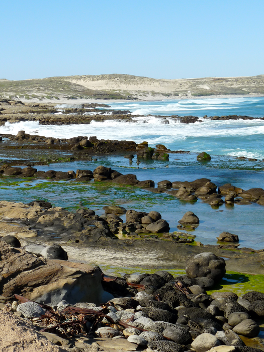 San Nicolas Island coastline