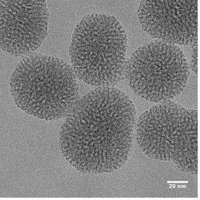 A new nanoparticle to act at the heart of cells