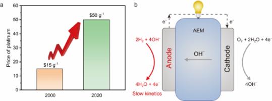 Price growth of platinum and AEMFCs.