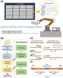 The principle of the DNA movable-type storage system.