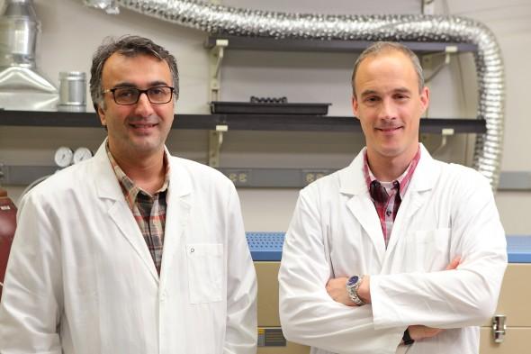 Amin Salehi-Khojin (left) and Robert Klie