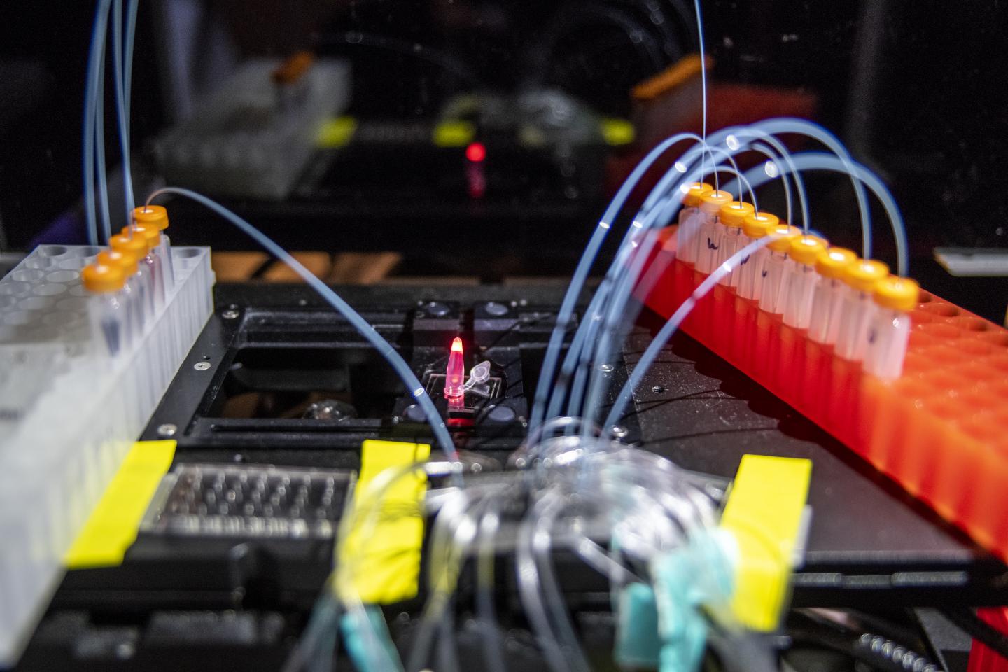 DNA Synthesis Using Natural Enzyme