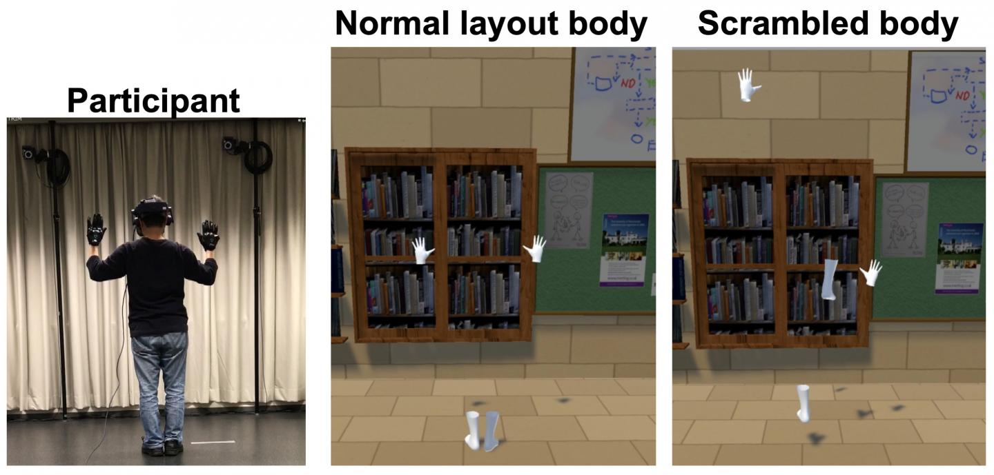 Experimental Participant (Left), the Corresponding Normal Placement Stimulus (Center), the Scrambled