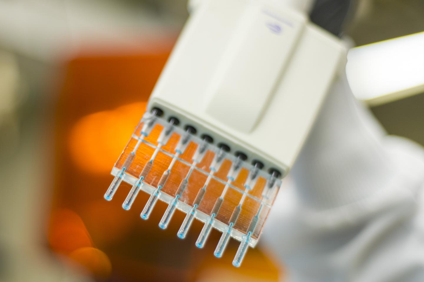 3D-Printed Multi-Tip ELISA Pipette Tip