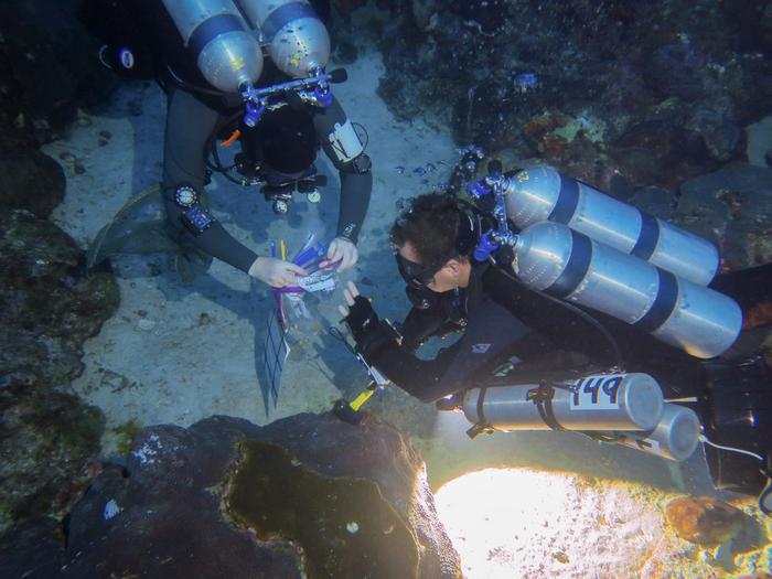 Florida Keys National Marine Sanctuary