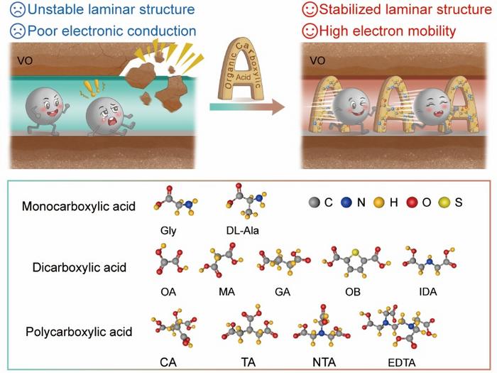 Schematic diagram of the optimized structure of the organic carboxylic acid intercalate VO