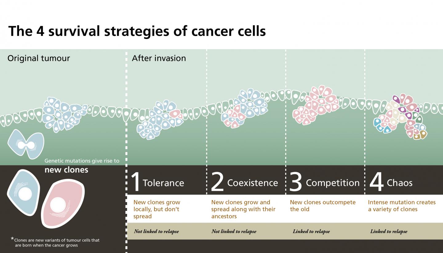 Infographics: Four Strategies