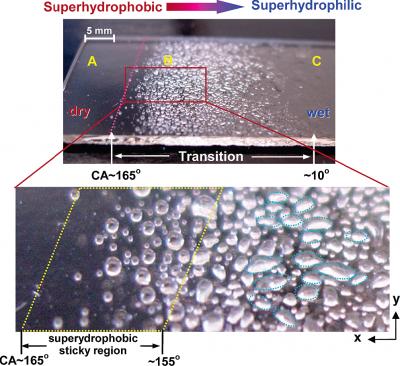 Wetter Report: New Approach to Testing Surface Adhesion