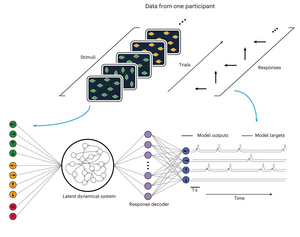 Task-switching DyVA framework