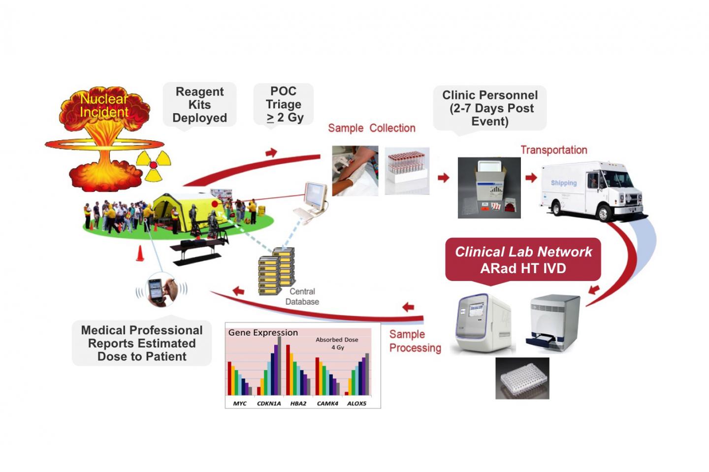 Population Triage during a Nuclear Incident