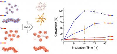 Disease-Sensing Nanomaterials