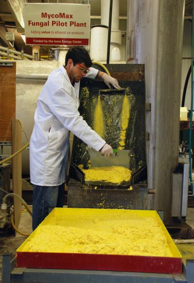 Improving Ethanol Production