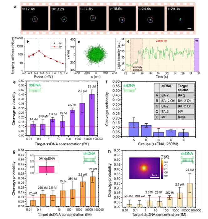 CRONT system for nucleotide detection and identification.