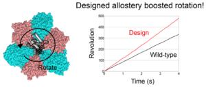 Fig. 2 Designed allostery boosted rotation of the designed V1