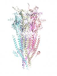 Serotonin Receptor Atomic Model