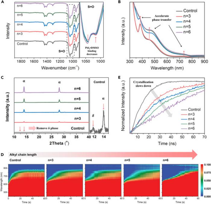 Investigation of the crystallization process of perovskites