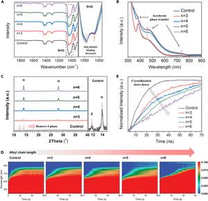 Investigation of the crystallization process of perovskites