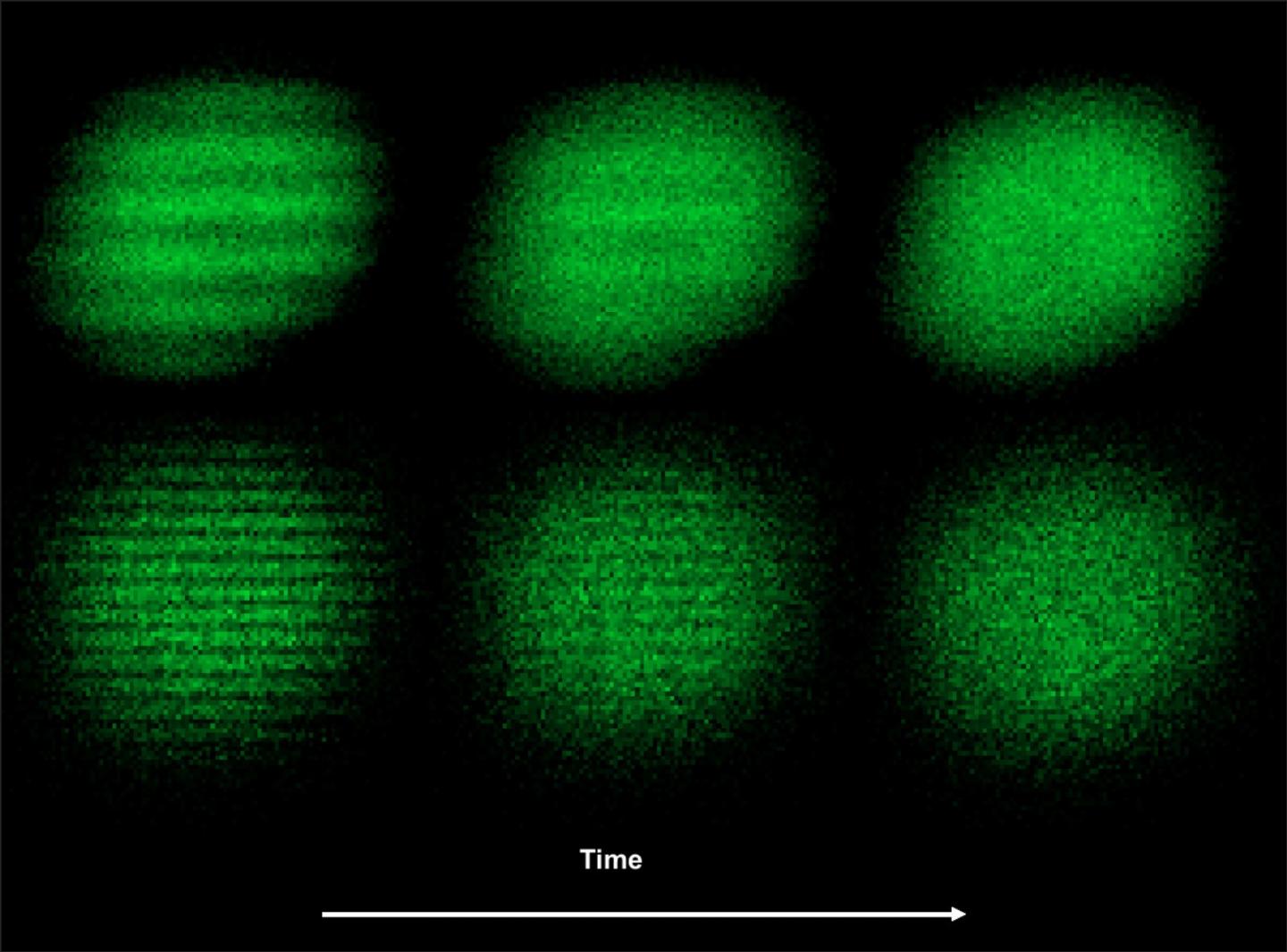 Gas of Ultracold Atoms