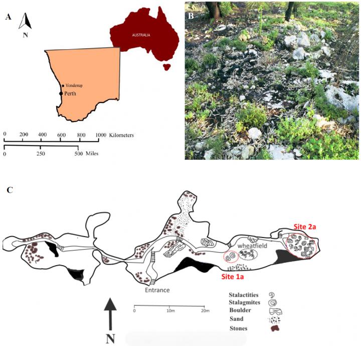 Study Site: Location, Post-Wildfire Vegetation, and Map of Yonderup Cave