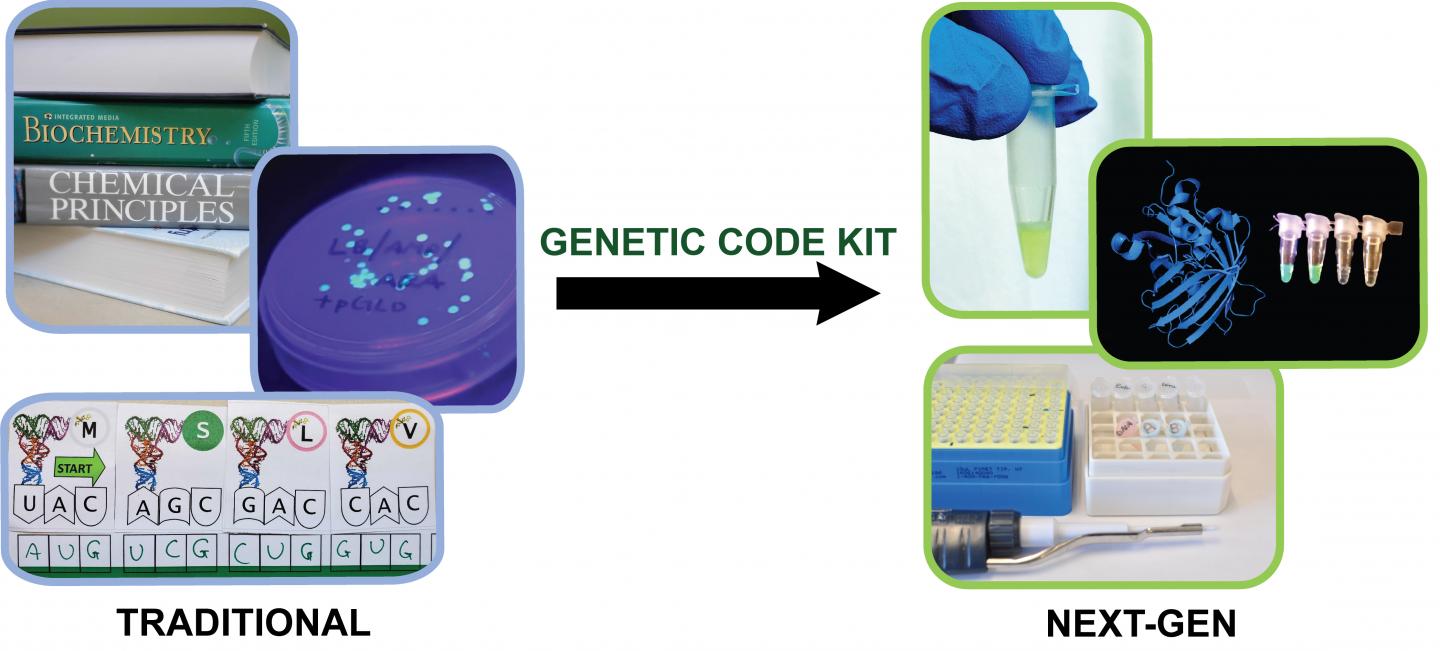 Unlocking the Cell Enhances Student Learning of the Genetic Code.