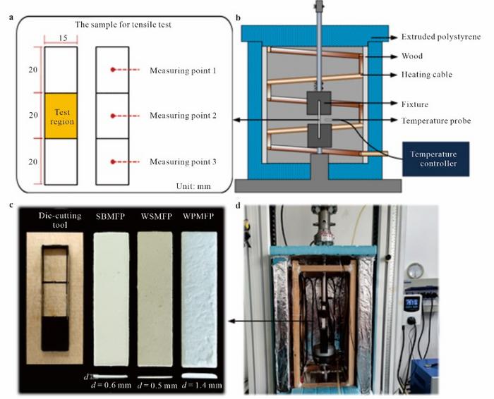 Understanding the Impact of Environmental Factors on Molded Fiber Products: New Insights