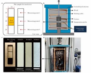 Understanding the Impact of Environmental Factors on Molded Fiber Products: New Insights