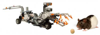 Robogator with Rat