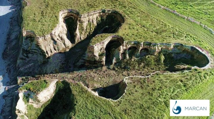 Coastal Gully, Canterbury