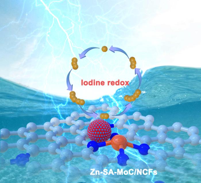 Zn-SA-MoC/NCFs contributes iodine redox