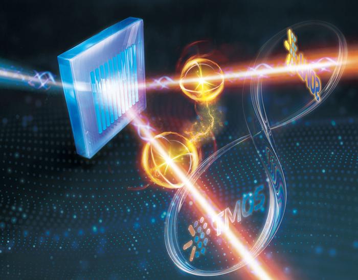 Figure | Concept of new quantum imaging with ultra-thin nonlinear metasurfaces.