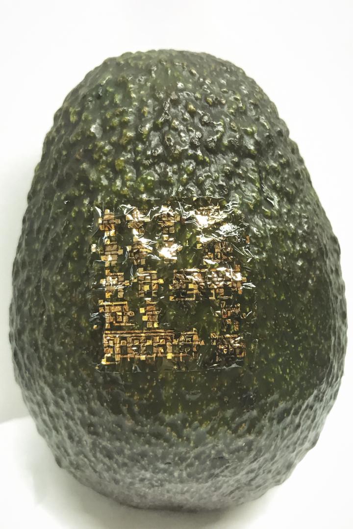 Ewaste Avocado