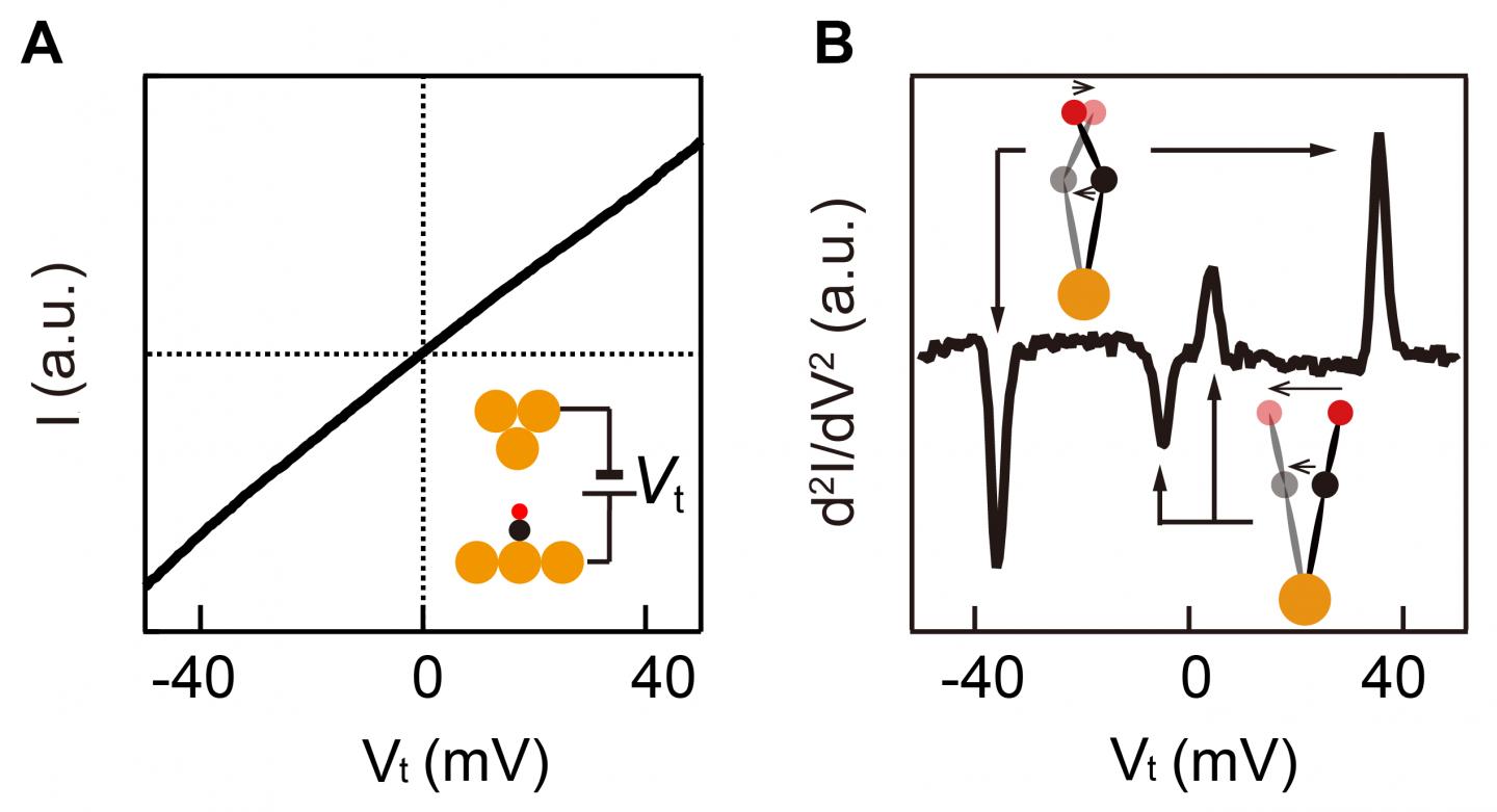 Figure 2. Vibrational Spectros [IMAGE] EurekAlert! Science News Releases