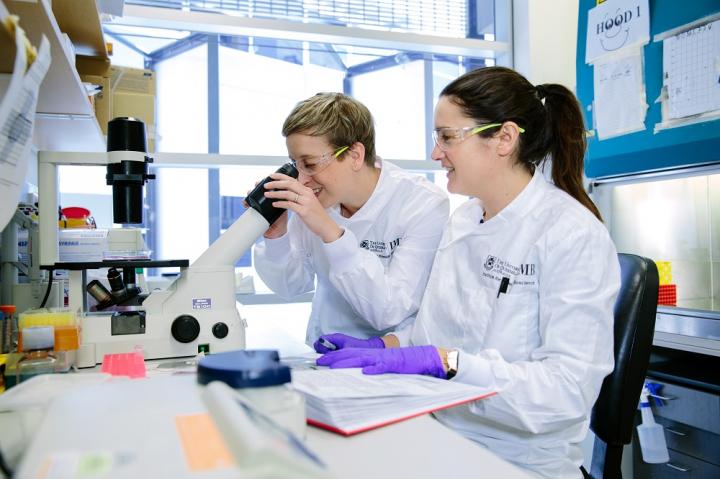 Researchers at UQ's Institute for Molecular Bioscience