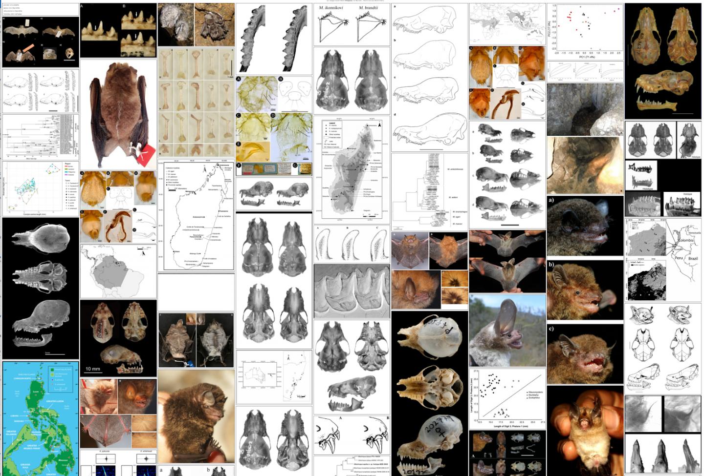 Scientific Illustrations Liberated from Scholarly Publications