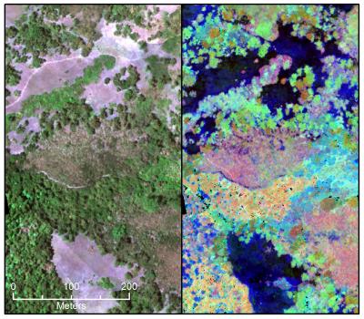 Jasper Ridge Chemistry