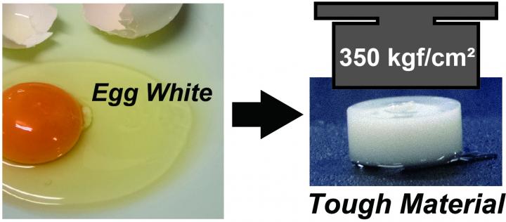 Egg-Based Tough Gel (2 of 2)