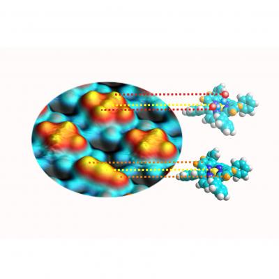 Direct Observation of Carbon Monoxide Binding