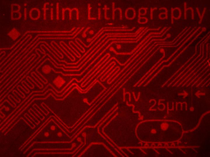 Biofilm Lithography