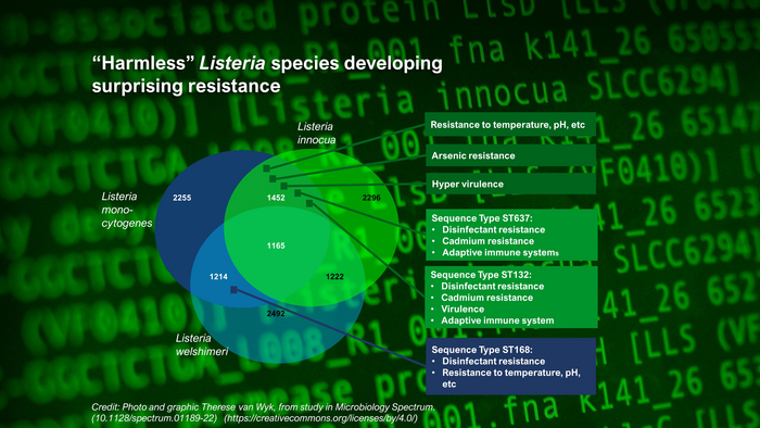 “Harmless” Listeria species developing surprising resistance