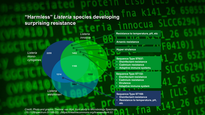 Harmless Listeria species developing surprising resistance