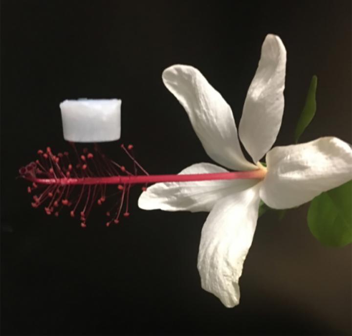 Super-Light, Super-Insulating Ceramic Aerogel Keeps the Hottest Temperatures at Bay (1 of 1)